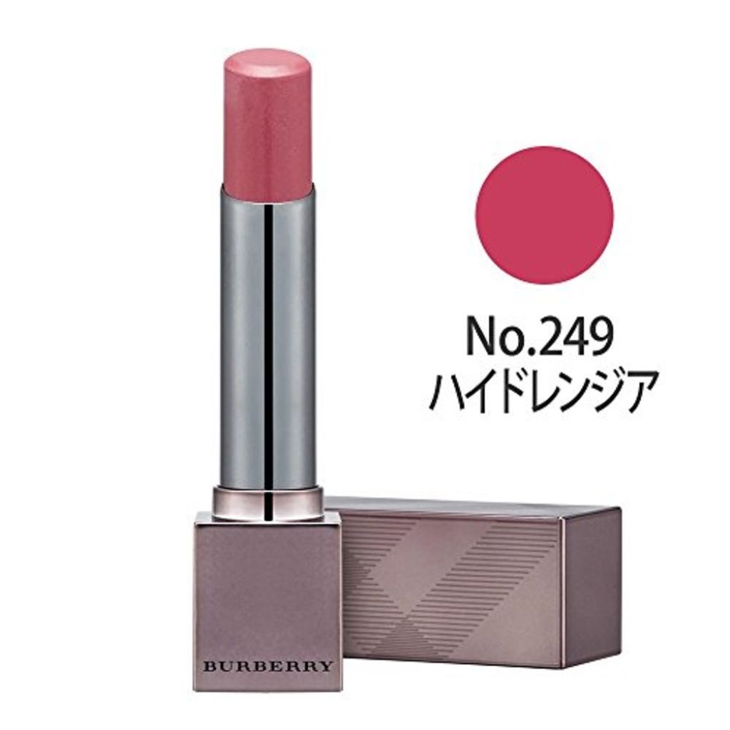 249 ハイドレンジア