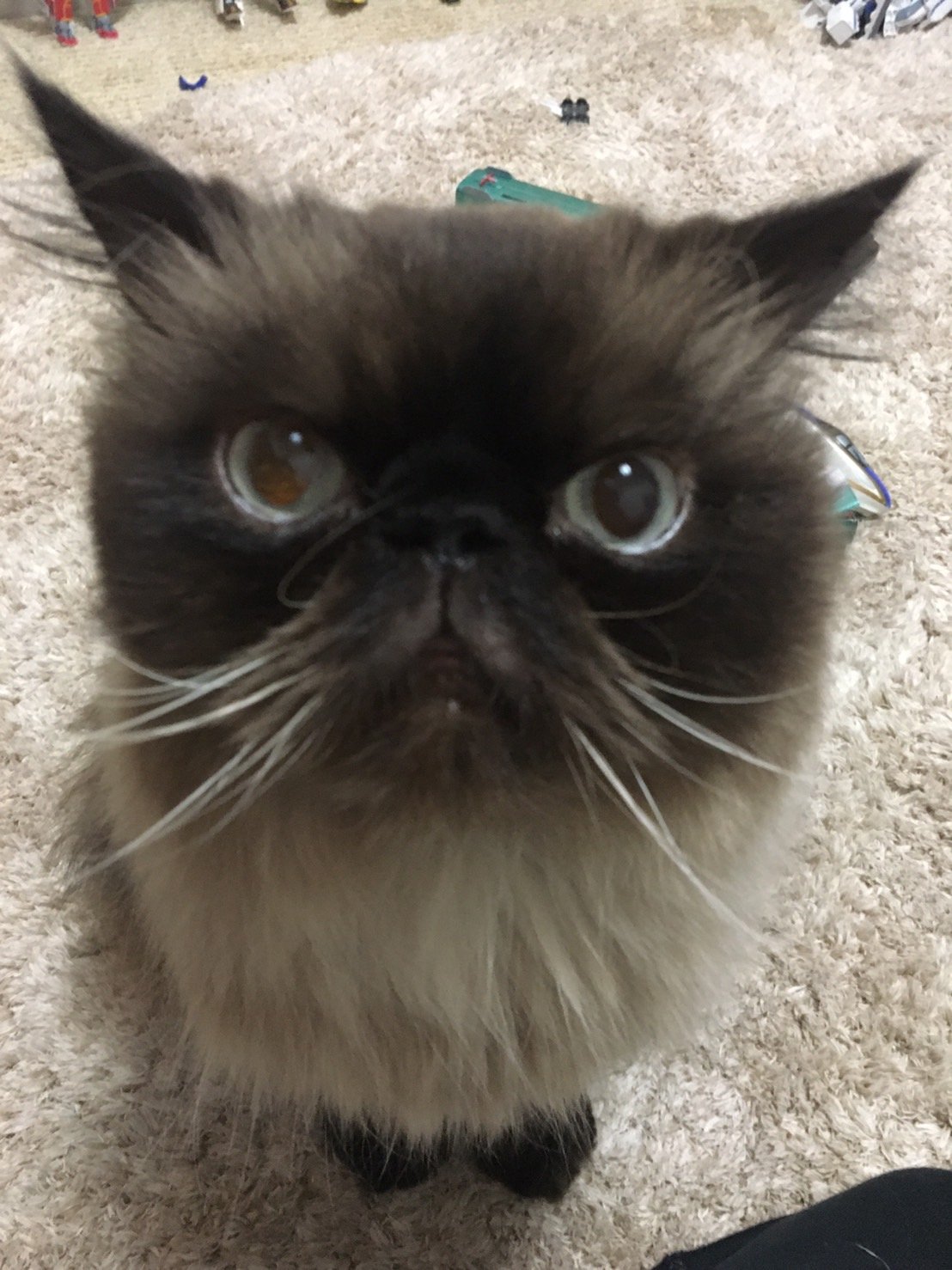 fabulous_sounds_0i4k