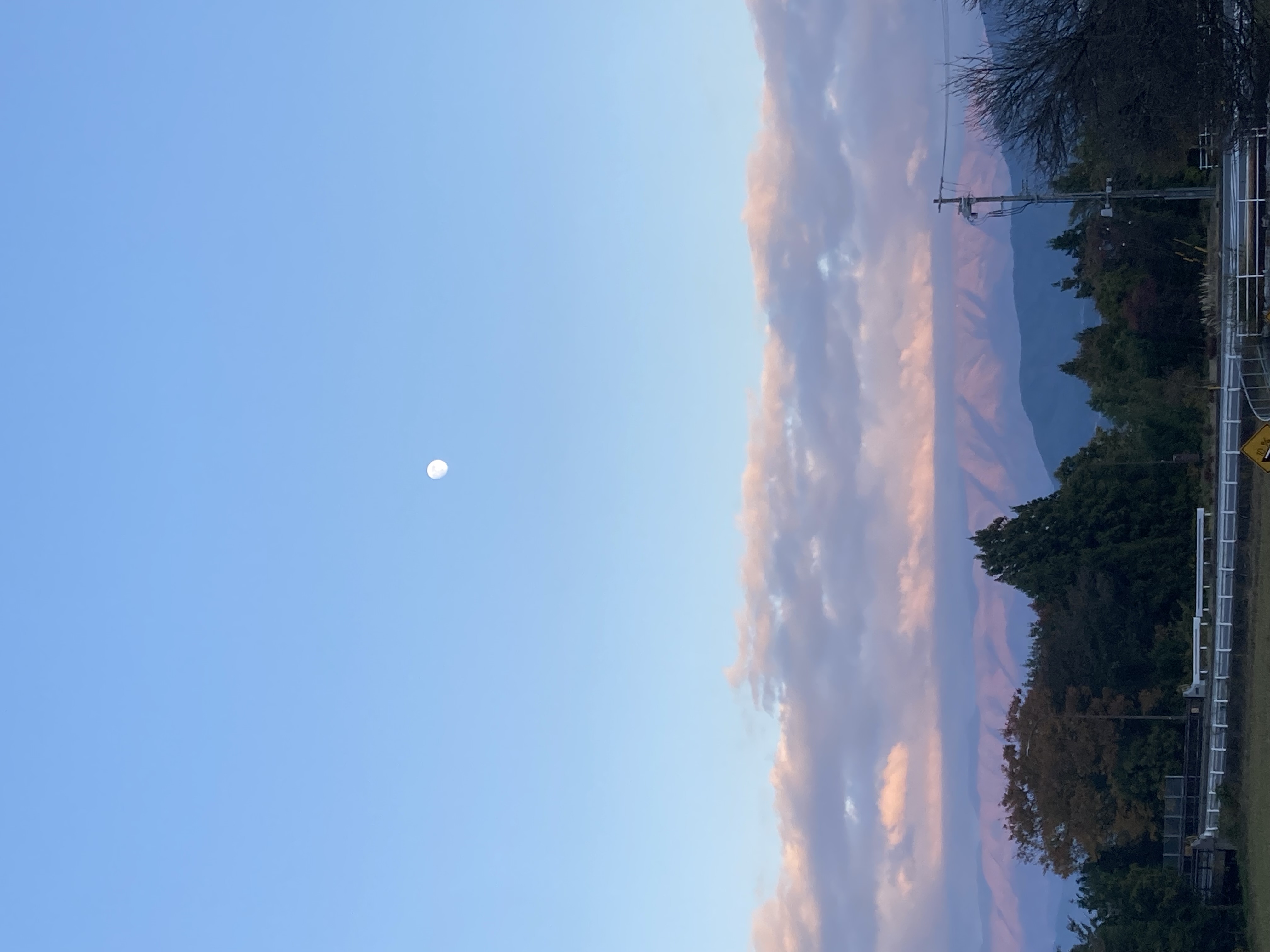 kikicha✳︎フォロバ100