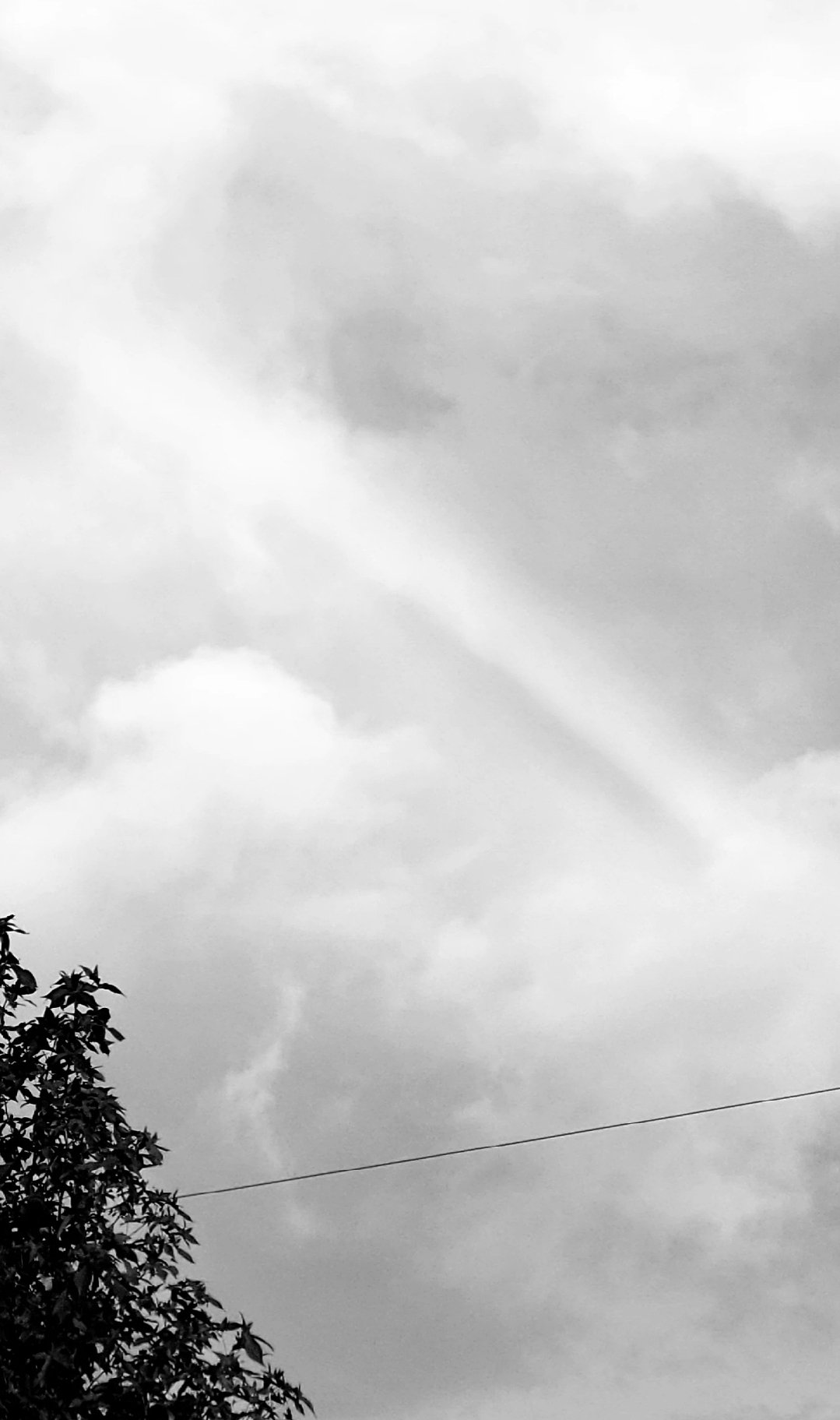 ただのイチゴ好き