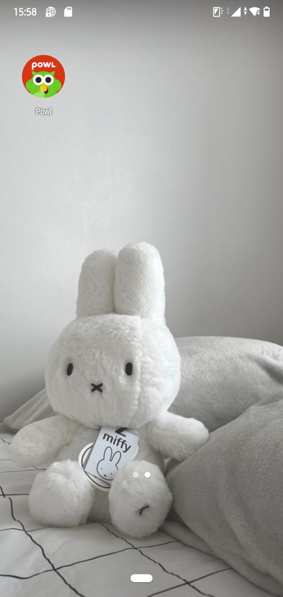 あーこ︎🤍🐑