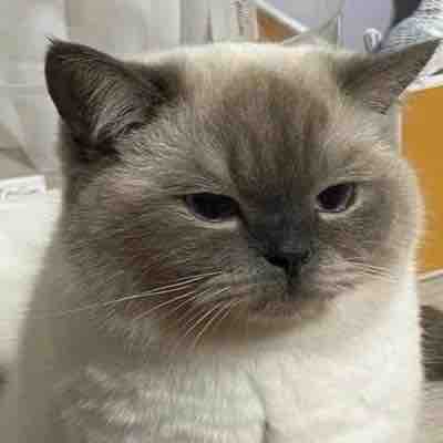 あたちゃん　フォロバ100%