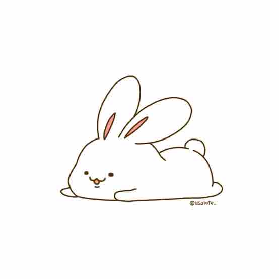 うさぴょん