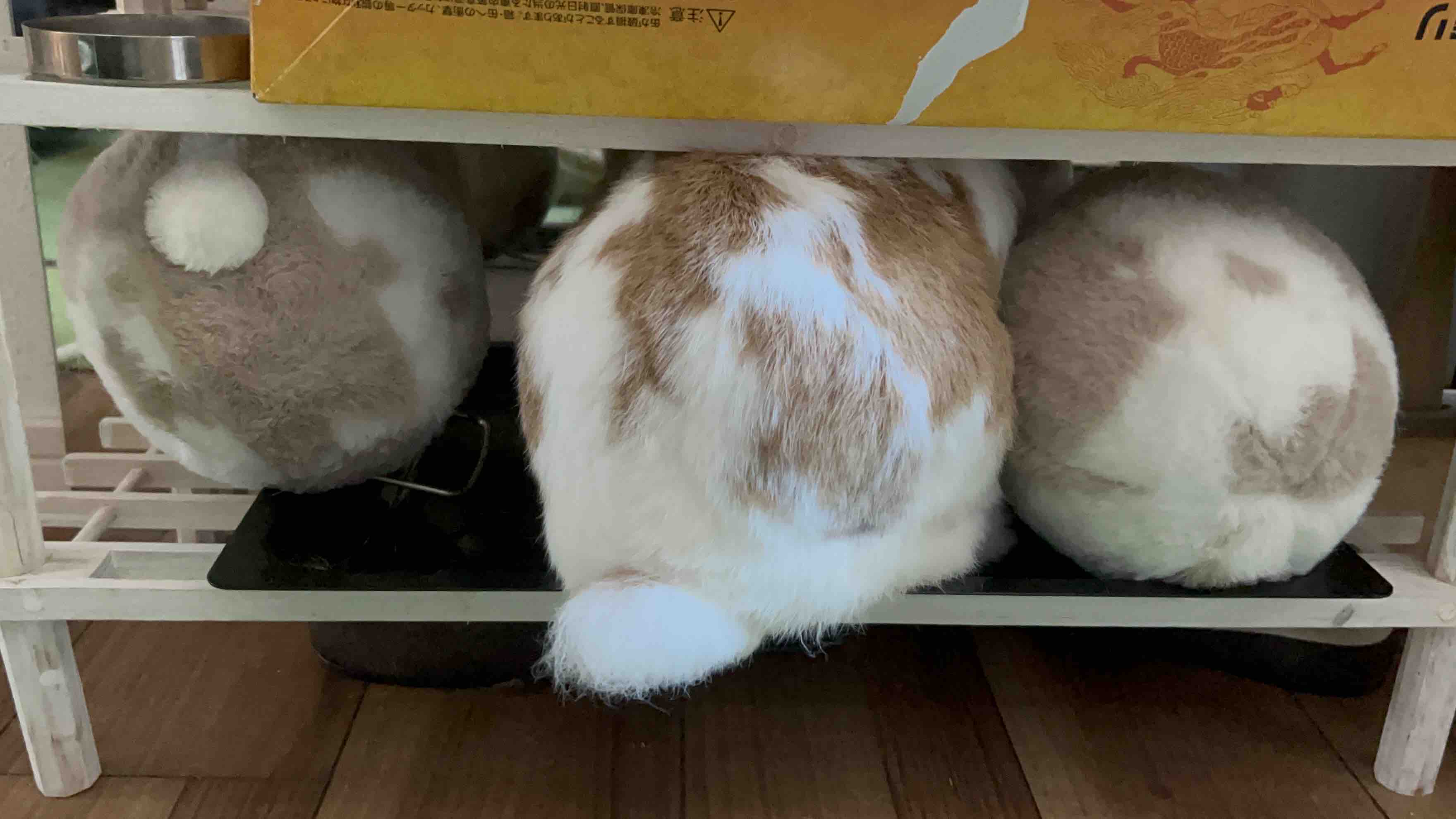 いちごミルク🍓✨