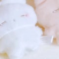 みら