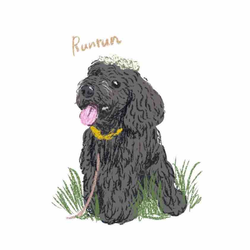 ピンチヒッター