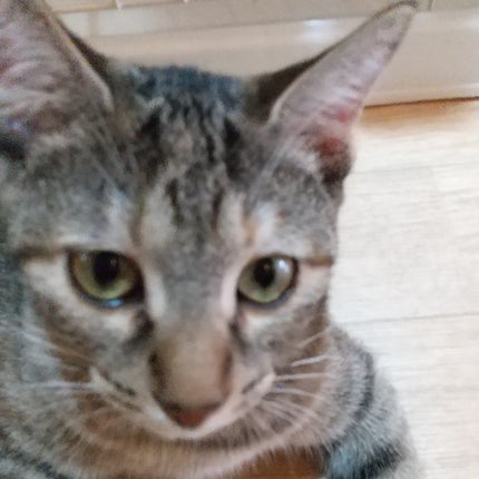 なつ@投稿ある方フォロバ