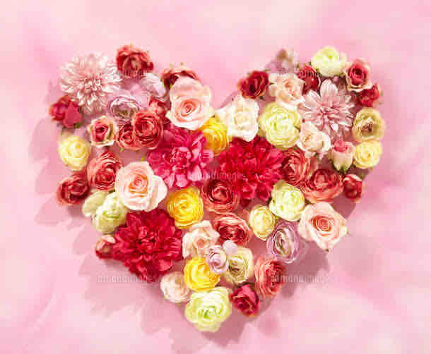 ことねせんせい