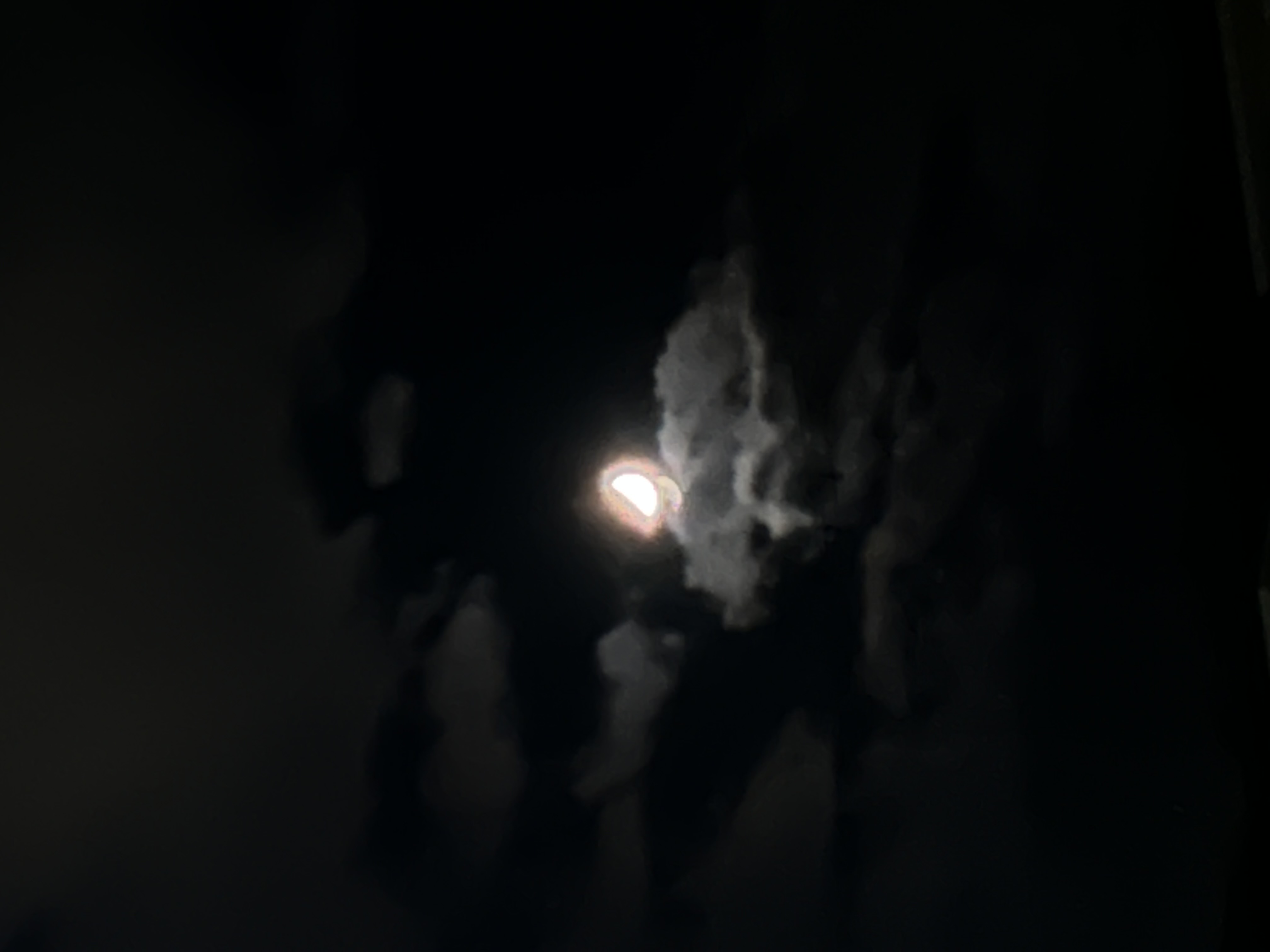 こたつにみかん