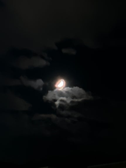 こたつにみかん