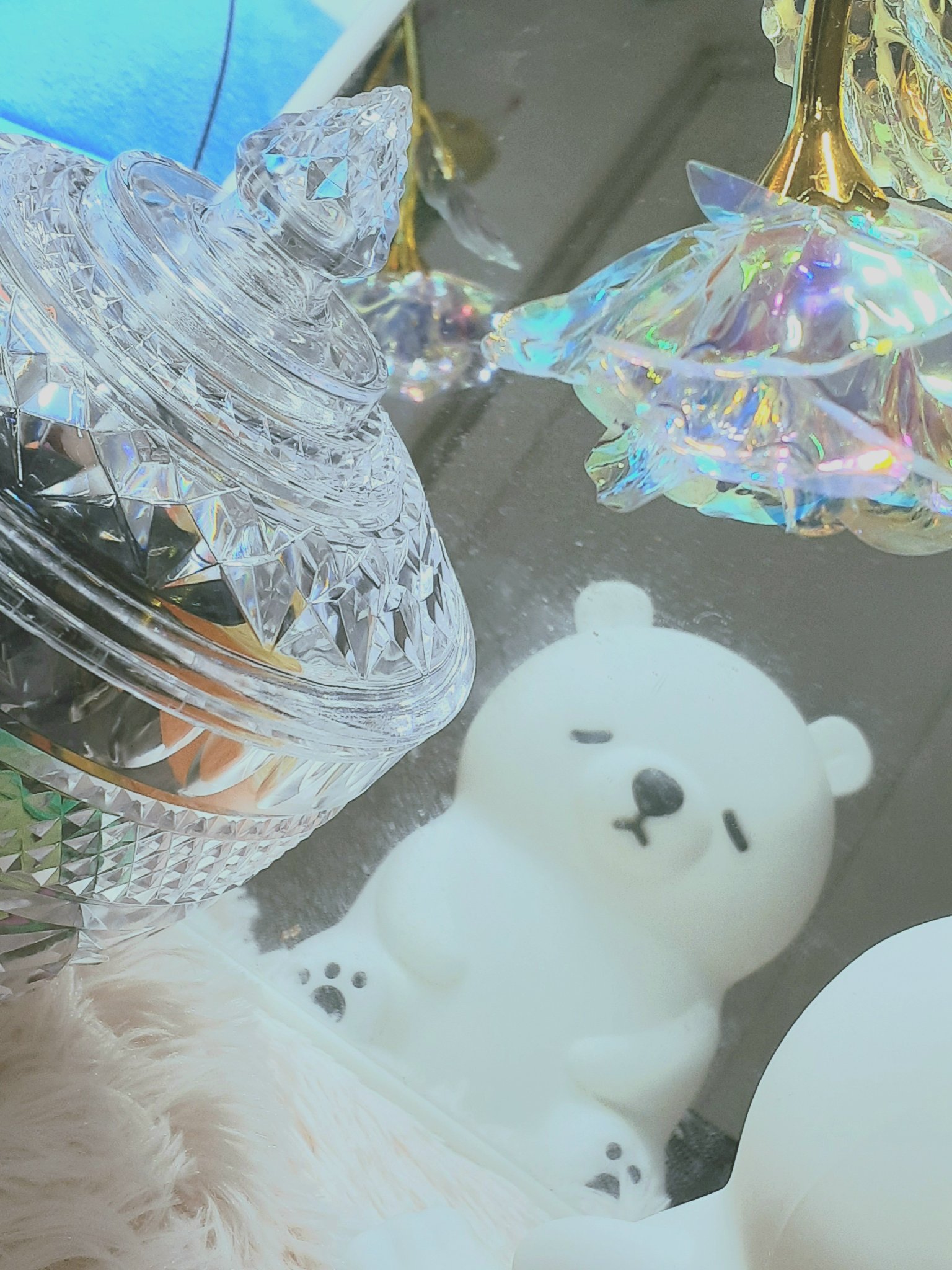 (˶^ᵕ^˶)𝕊𝕠𝕣𝕒♡