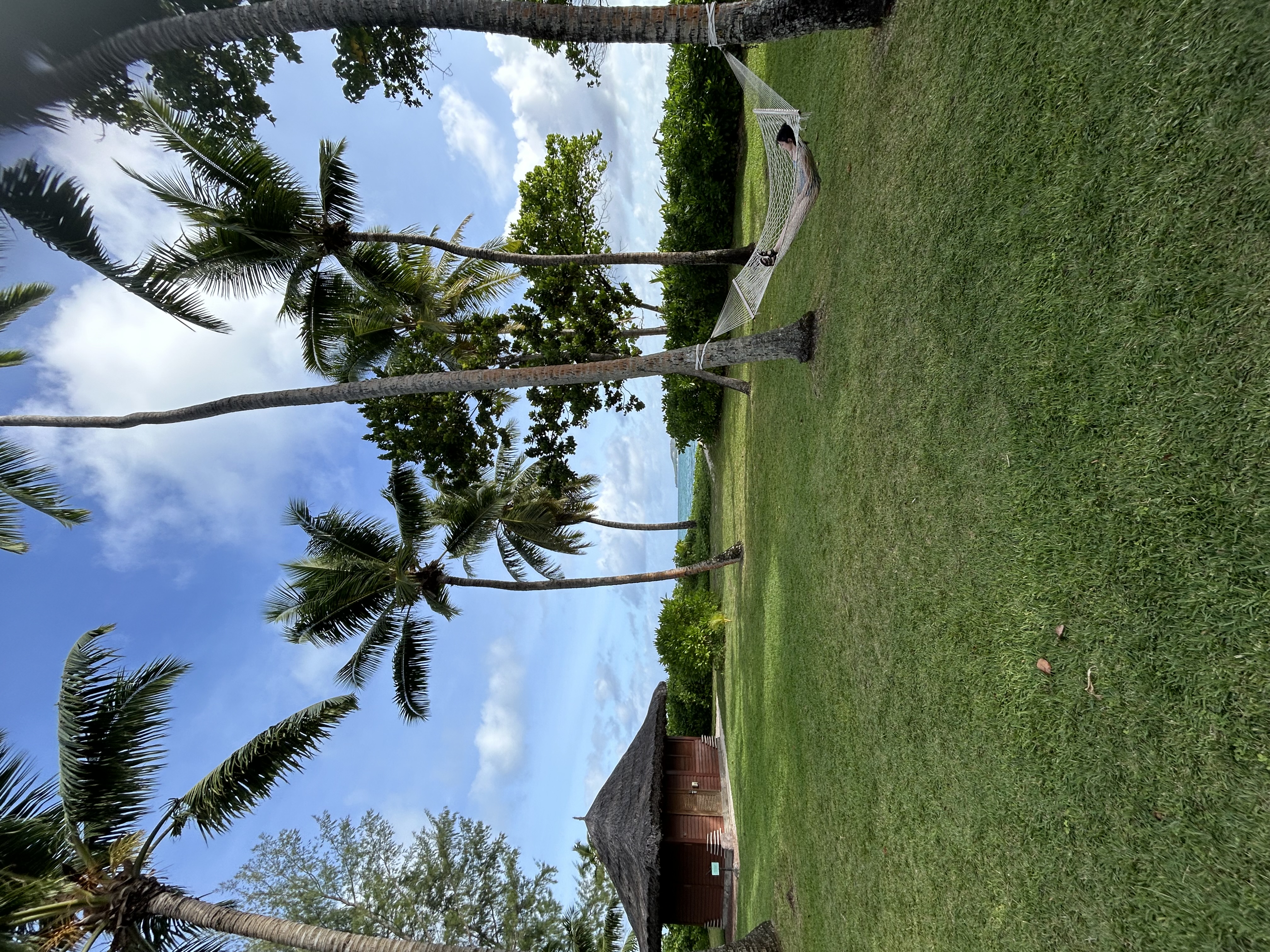 ぴぴ♡ﾐﾐ(フォロバ100)