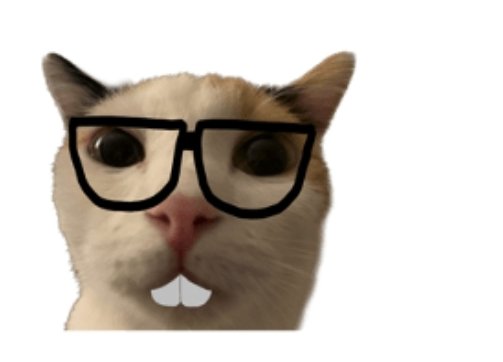 さいおんじチャン