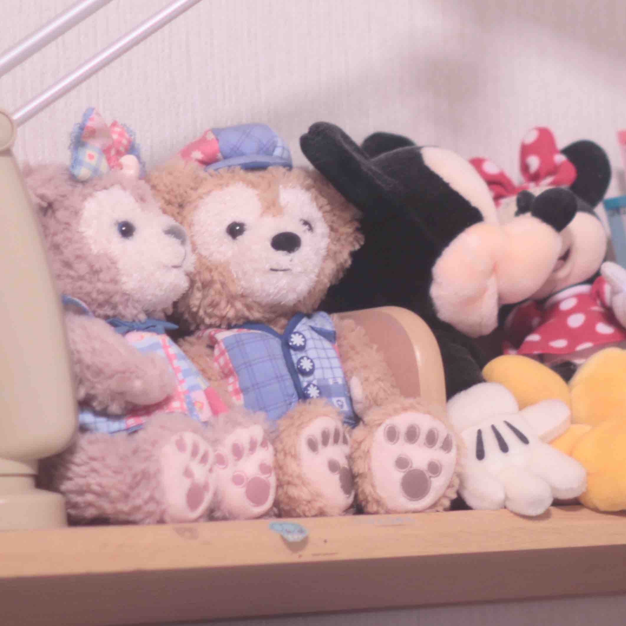 音々⚡️@フォロバ