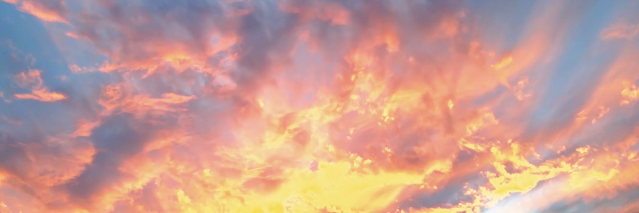 りんごあめ🍎🍏