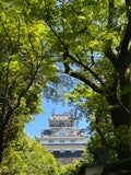 セン