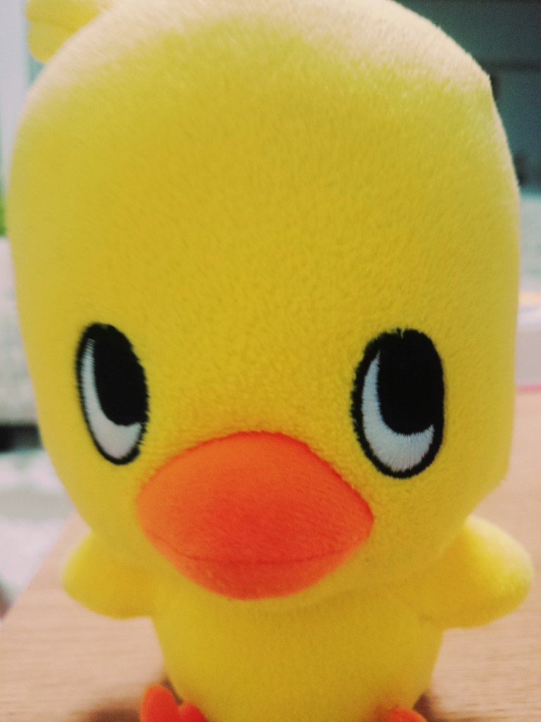 まおは🕖🛌🌿