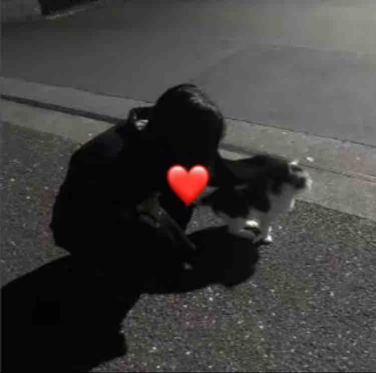 airiNiko(៸៸>⩊<៸｀)