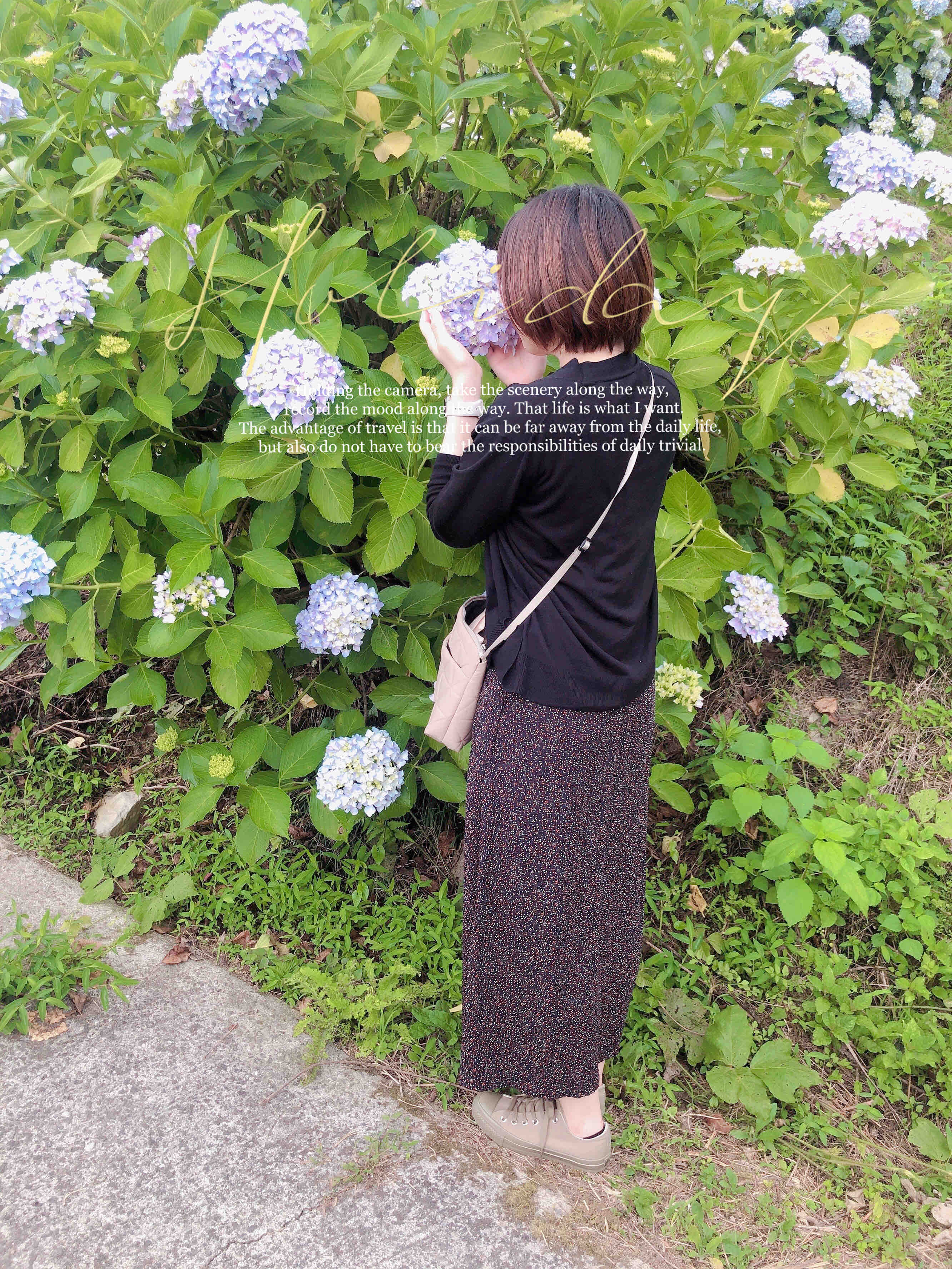 𝕃𝕚𝕝𝕝𝕪 ꪔ̤̫