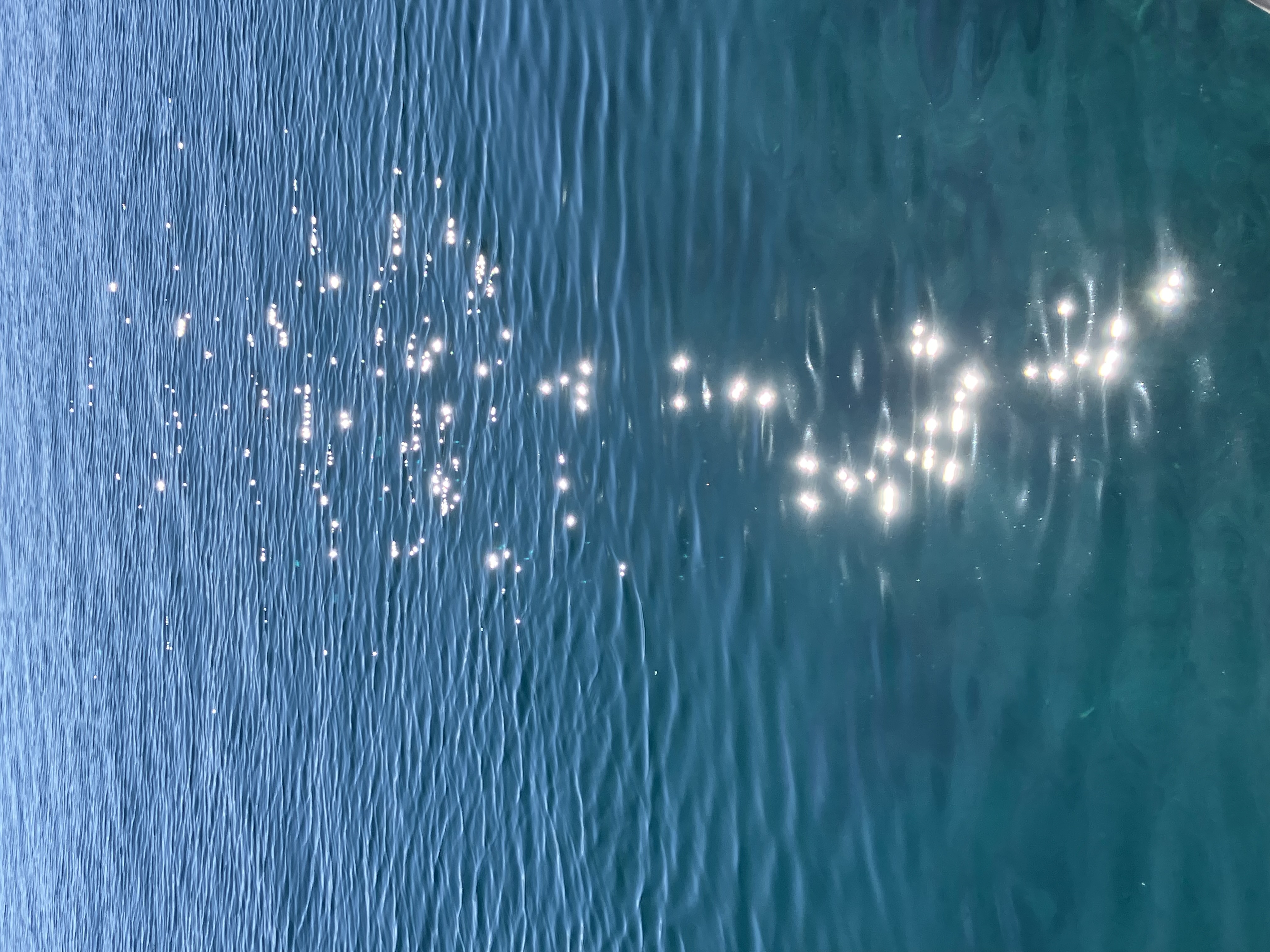 もも🍑フォロバ