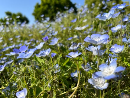 トライアングル