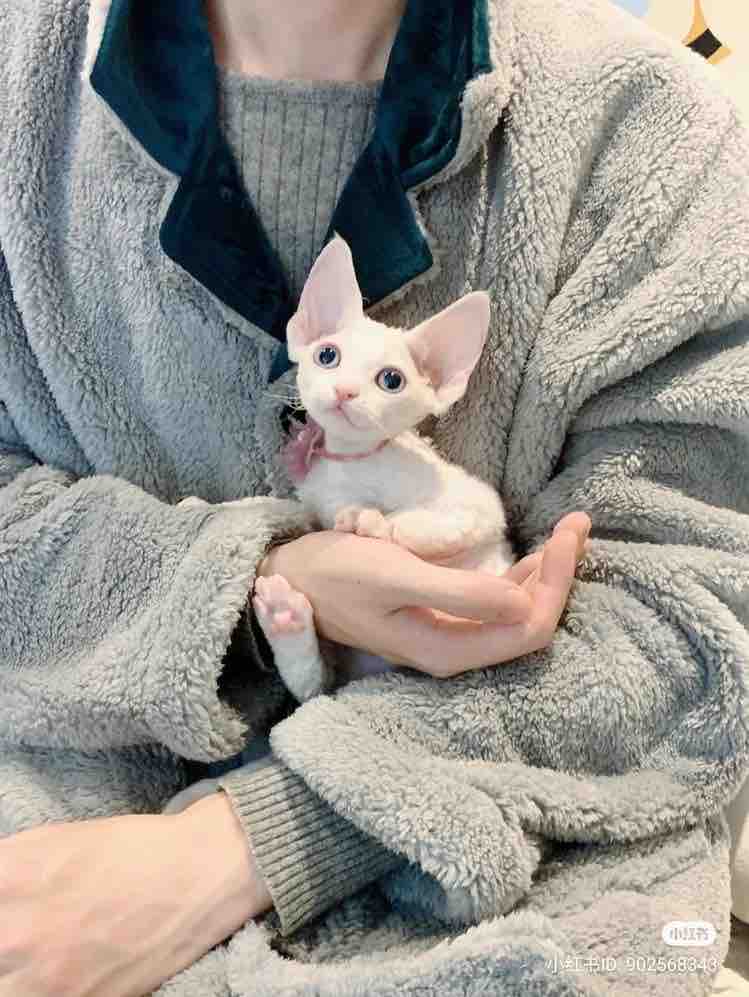 SEPHORAで働くコスメオタクYUKI