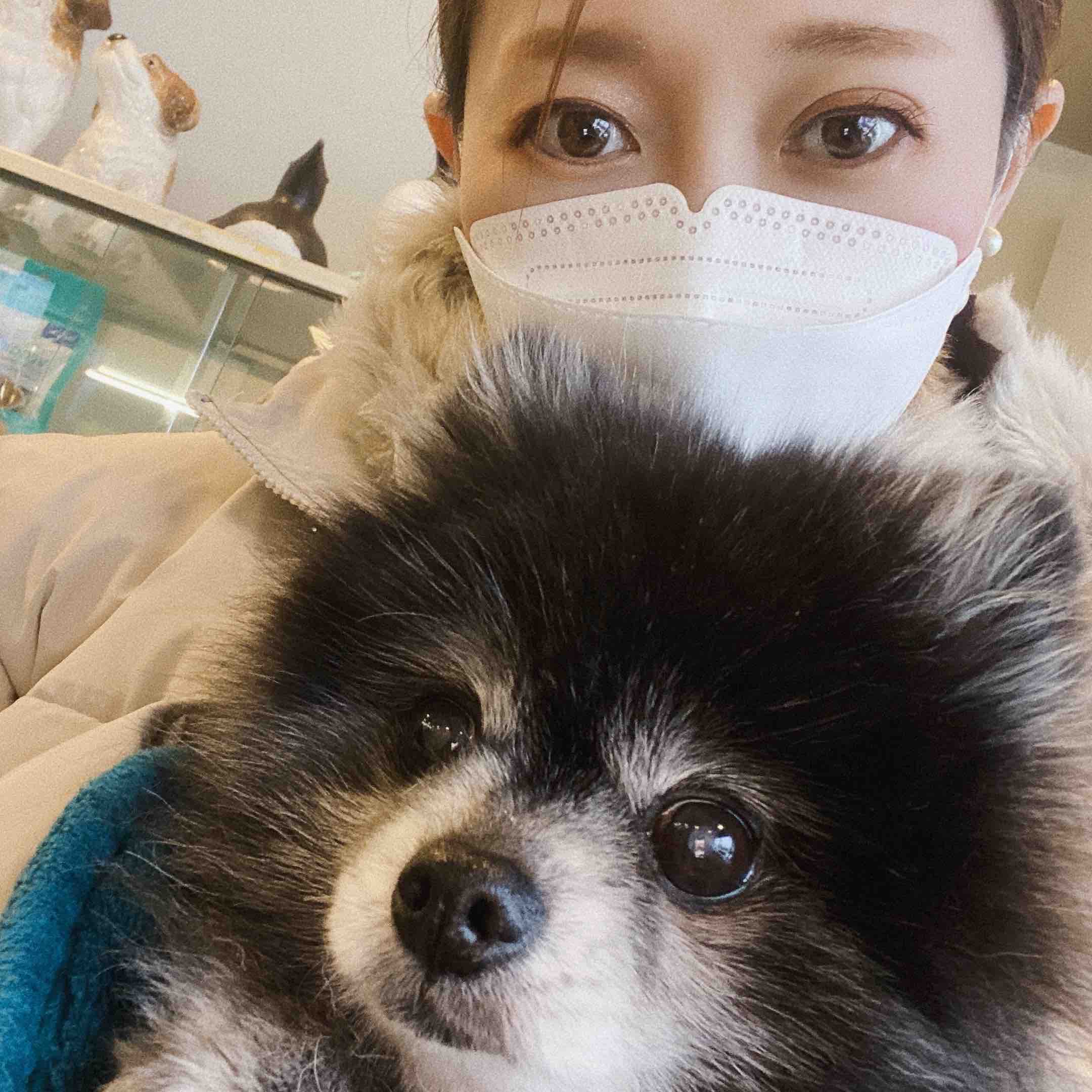 Mai ✳︎フォロバ100