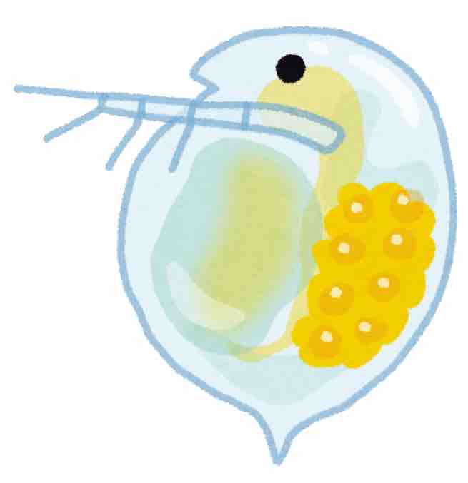 泣き虫ウーロンハイ🦁