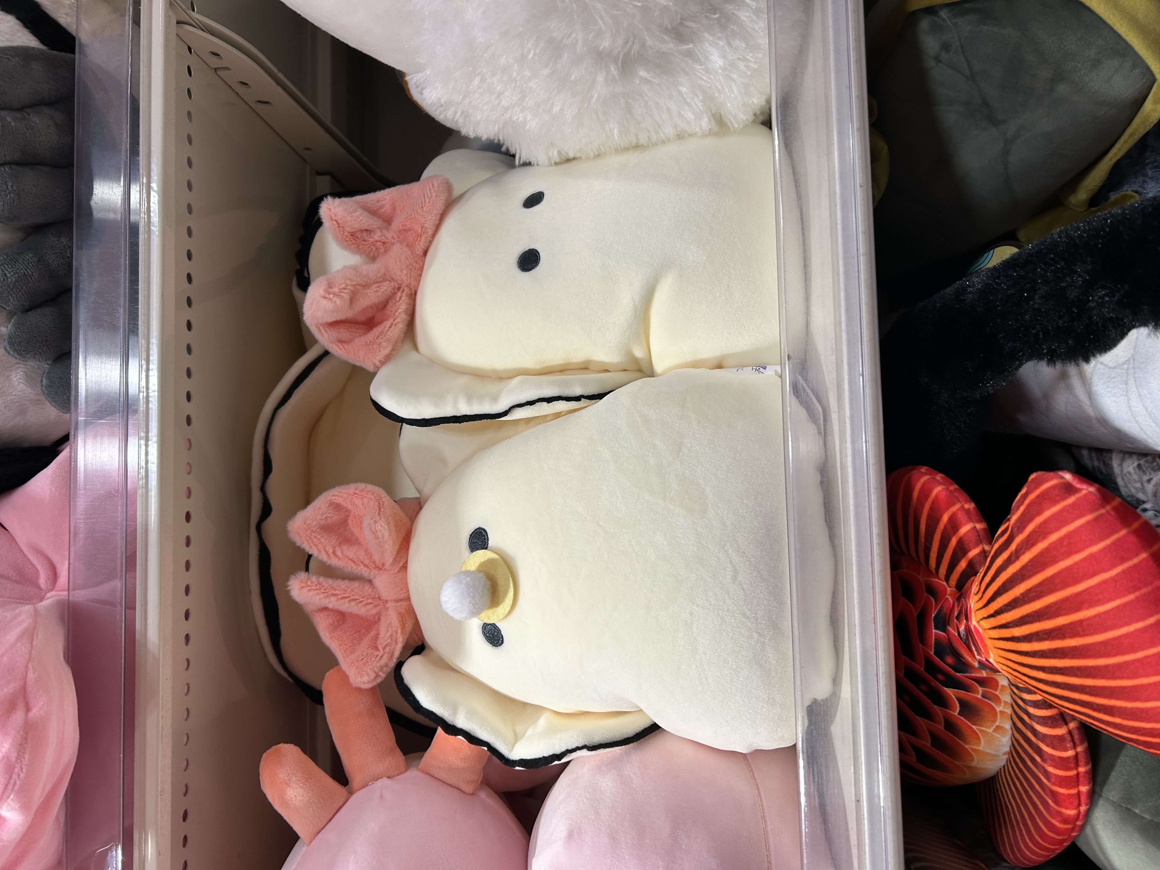 Berry✰︎フォロバ100%