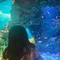 ぽか