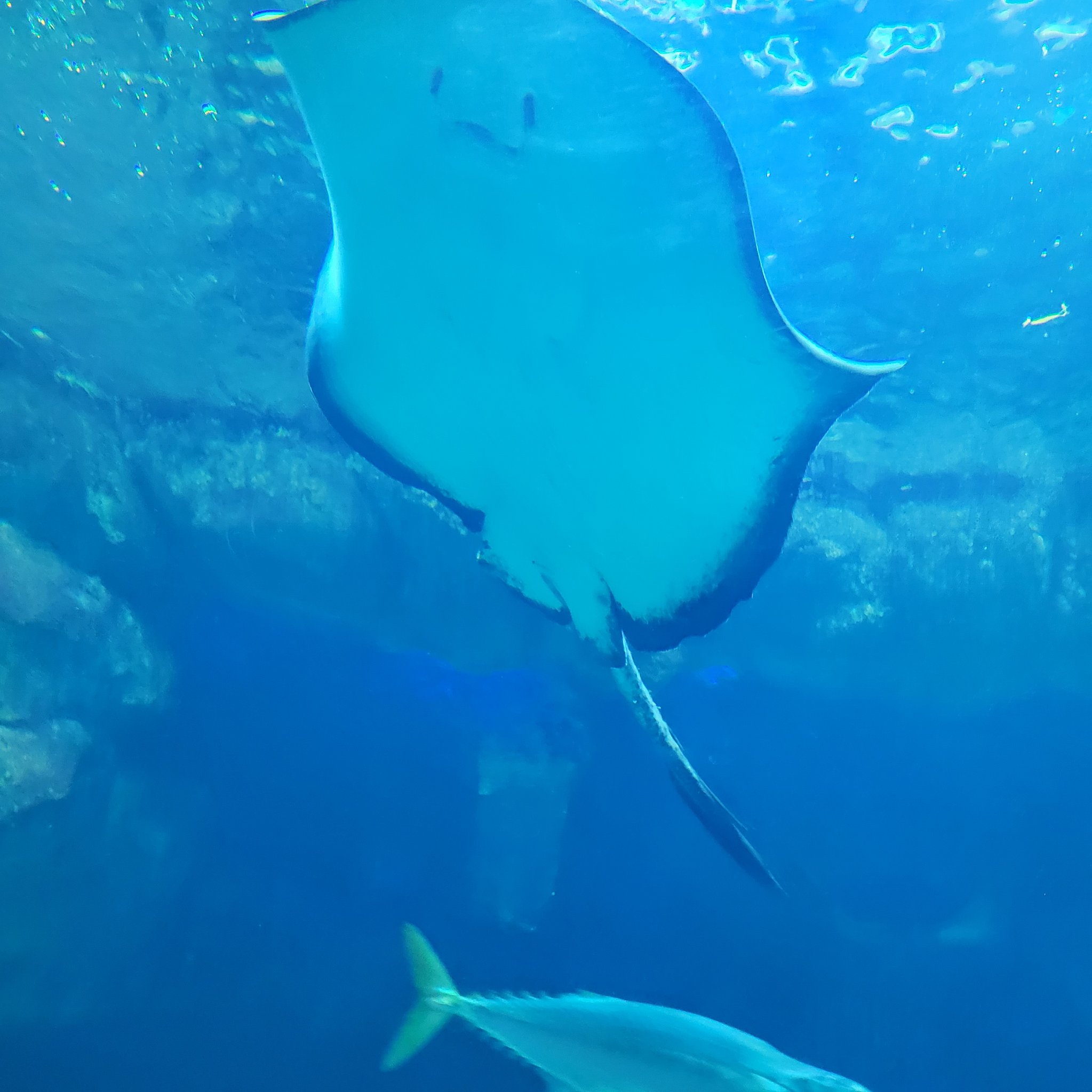 あったかお布団