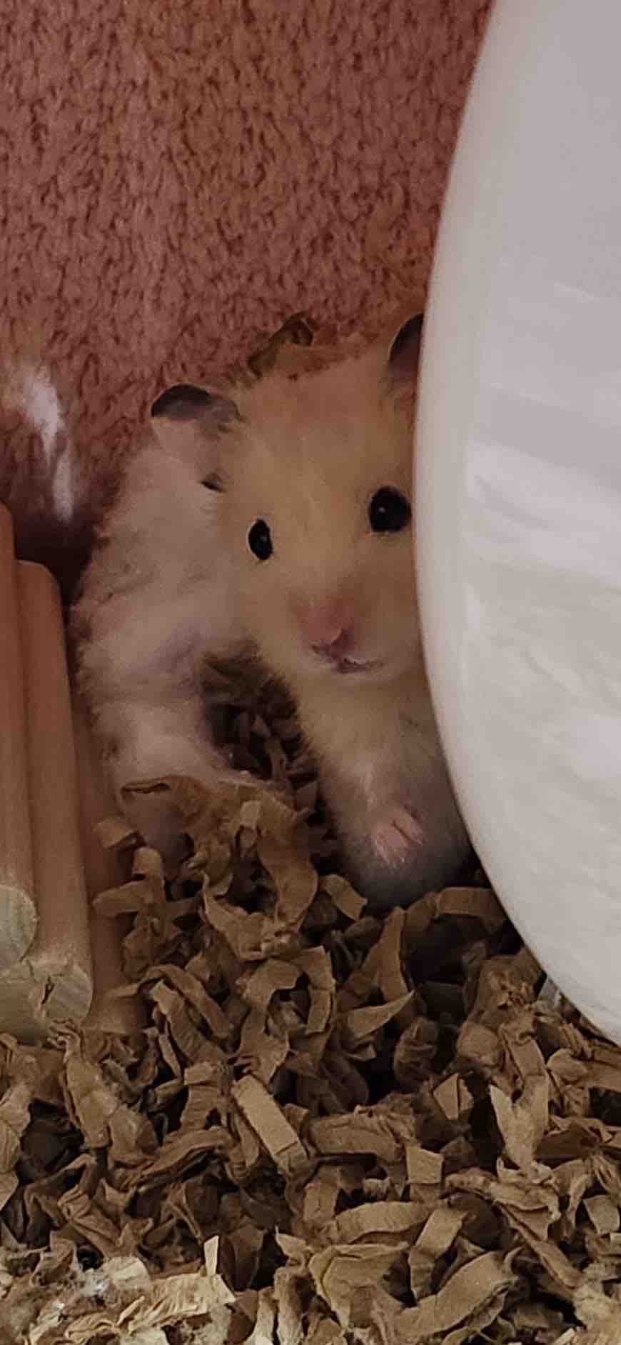 さん💞フォロバ100