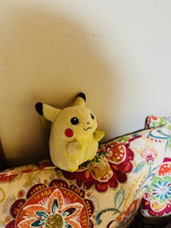 実家暮らしのピカ