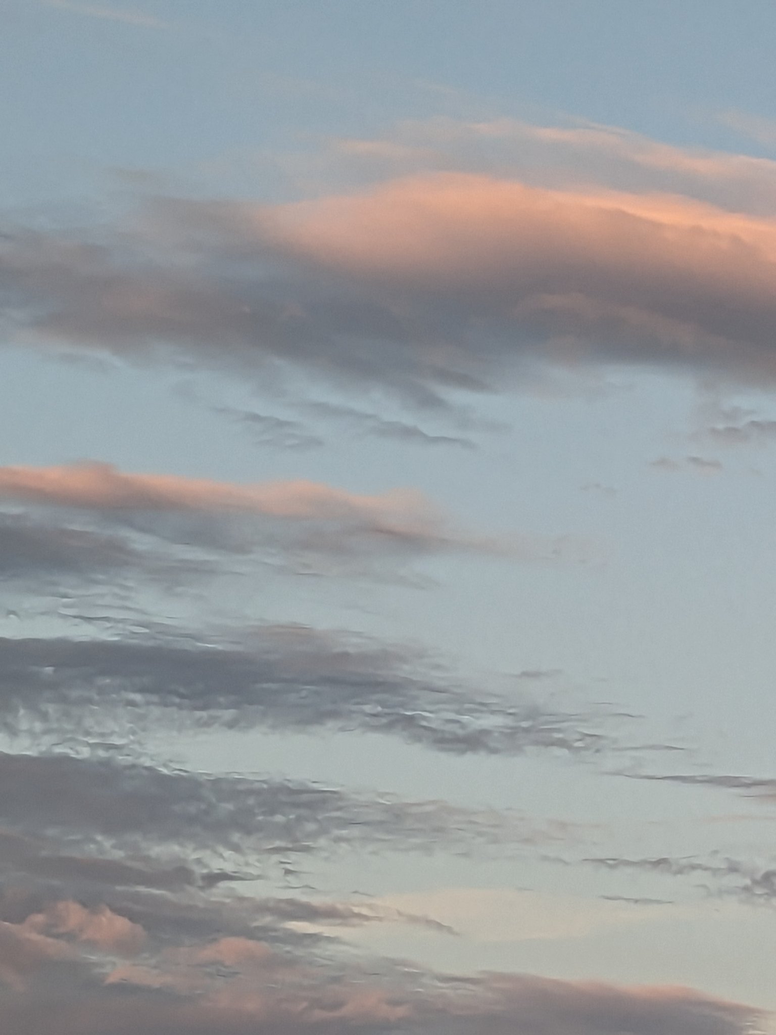 りののん🌸🍒