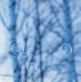 れむ❄️フォロバ100%