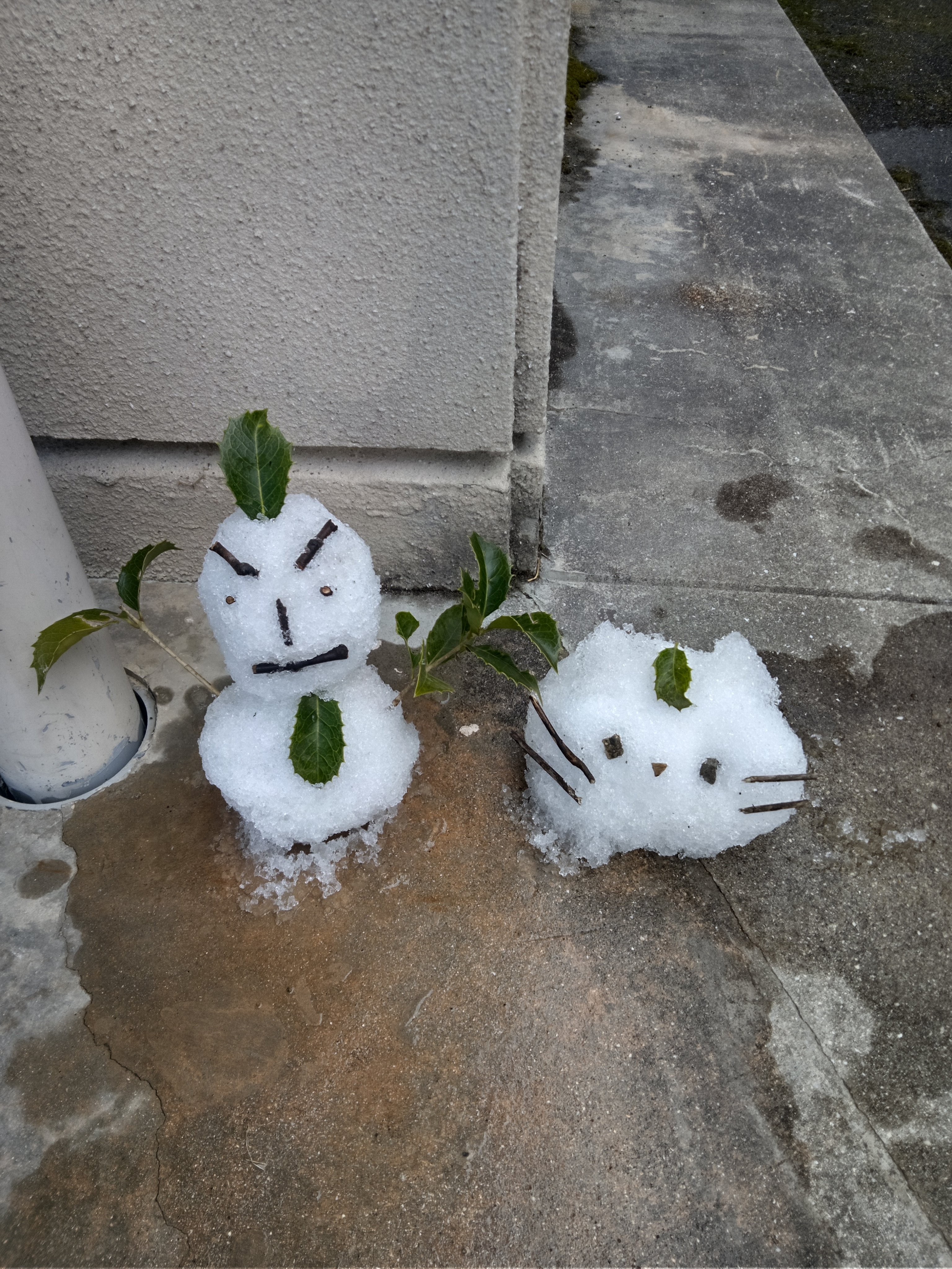 🌺ℳ𝒪𝒦𝒜🌺