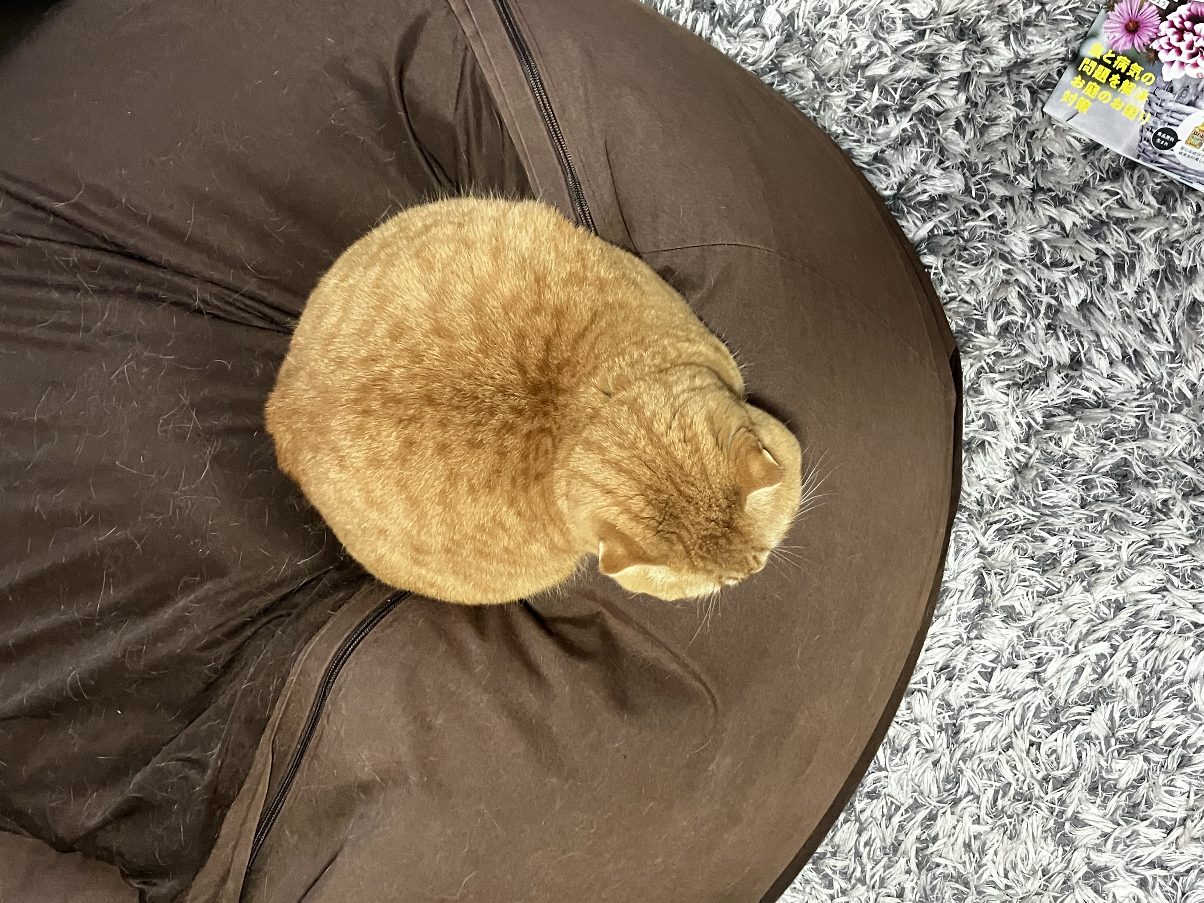 ちくわ@フォロバ