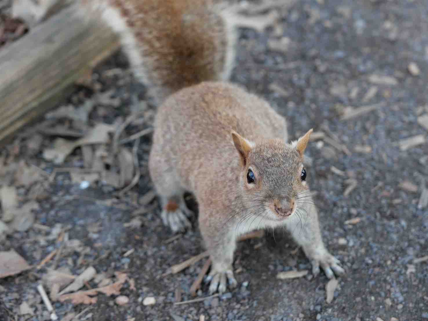 ぽんた〈フォロバ返します🙌〉