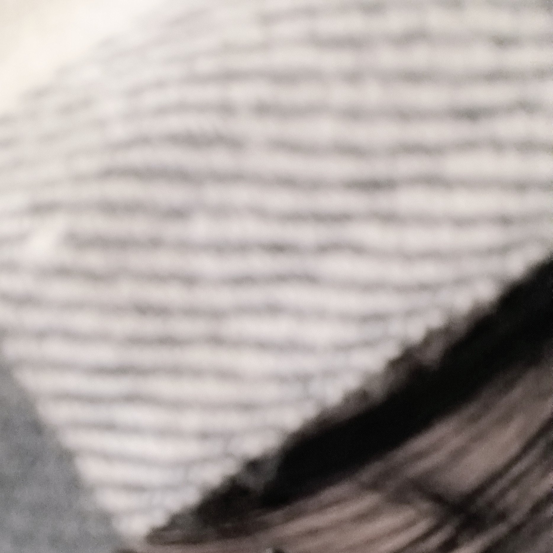 林檎たると🍎🥧 