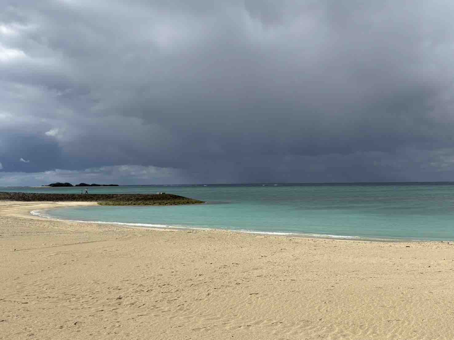 山崎ビスケット