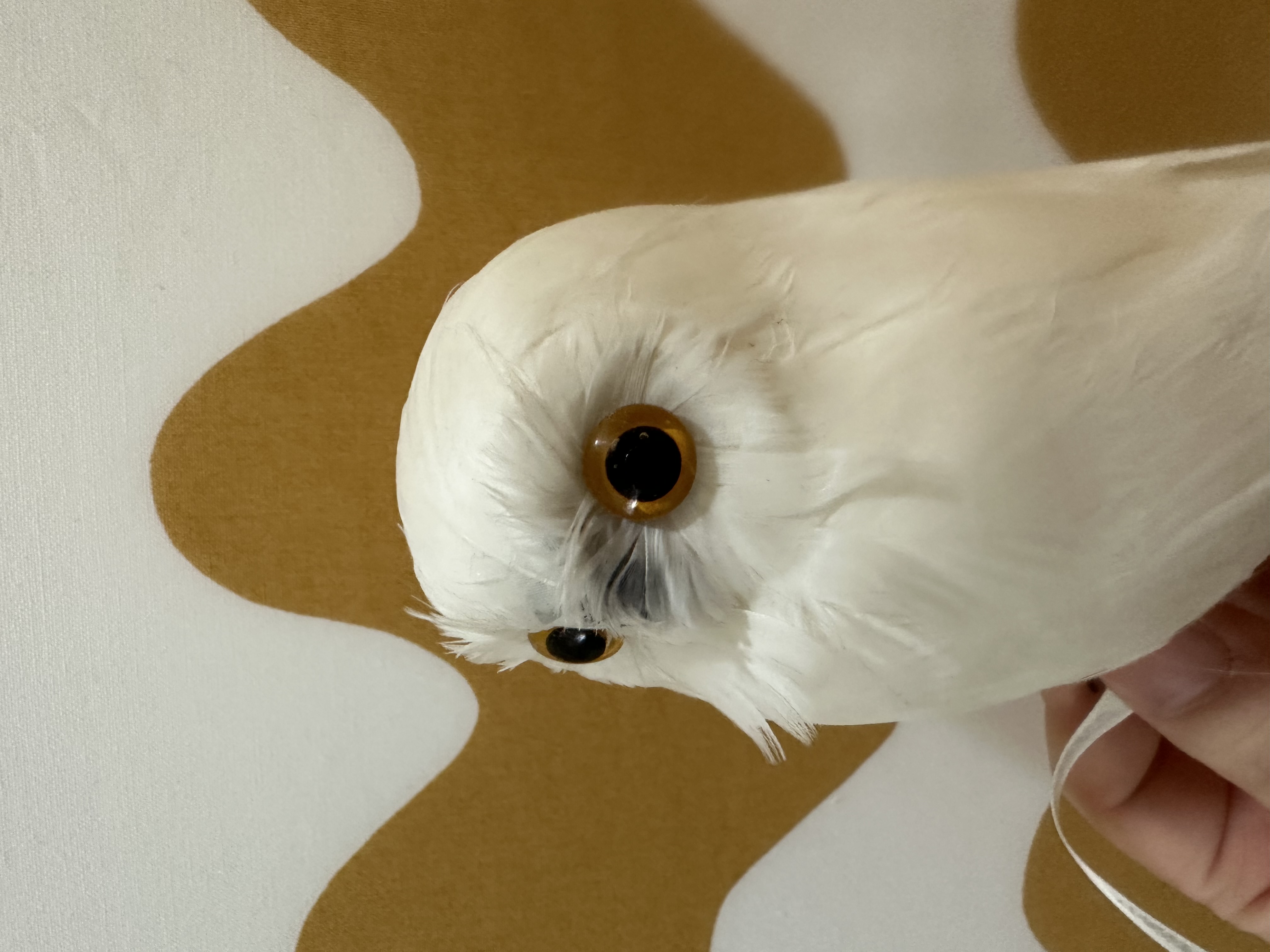 はるてんちゃん　