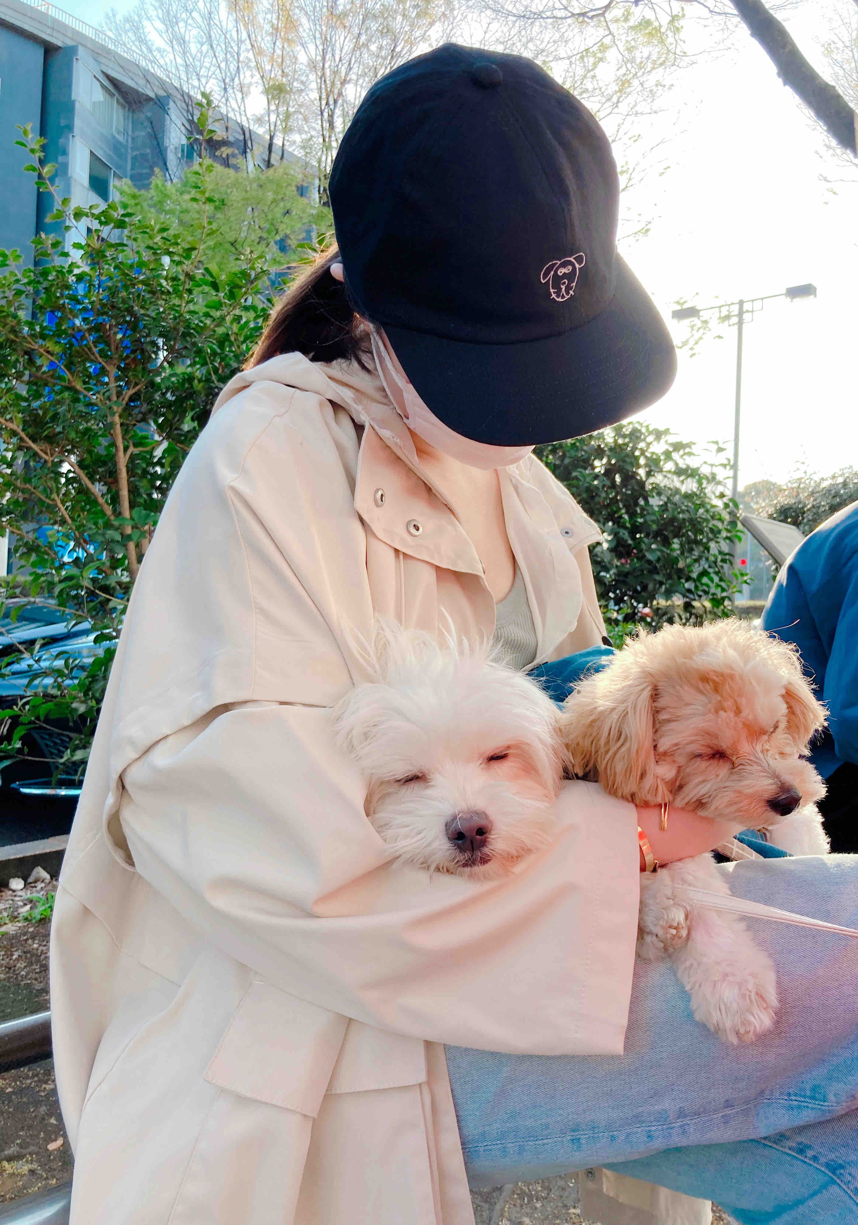 はーちゃん🫧🥐フォロバ100