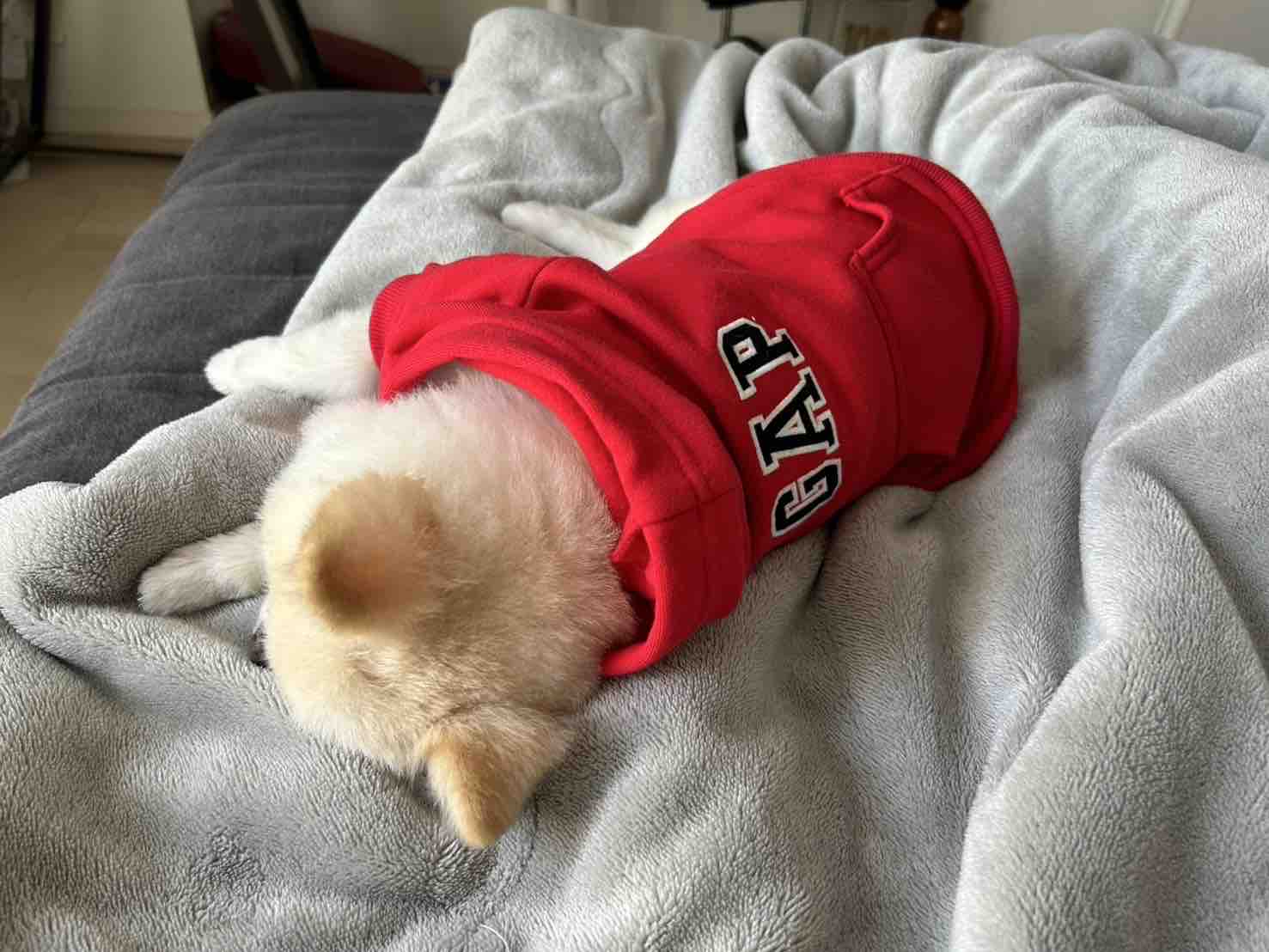 あゆぴよ♡LIPSパートナー