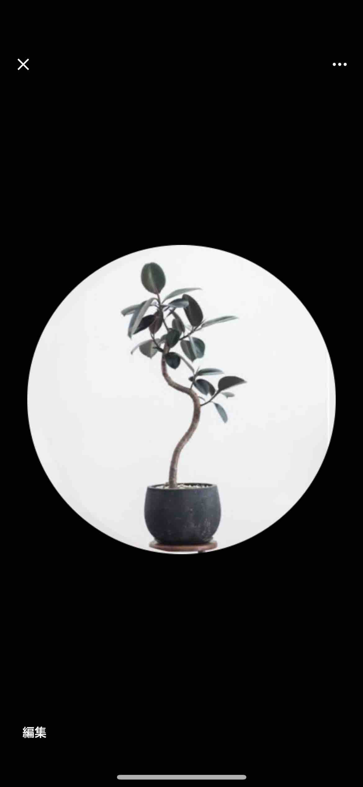 aiko/美容🐻フォロバ100%🫶