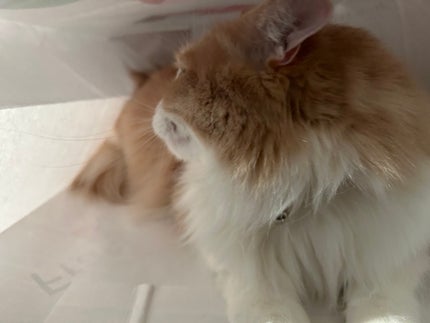 RioRu@フォロバ100♡