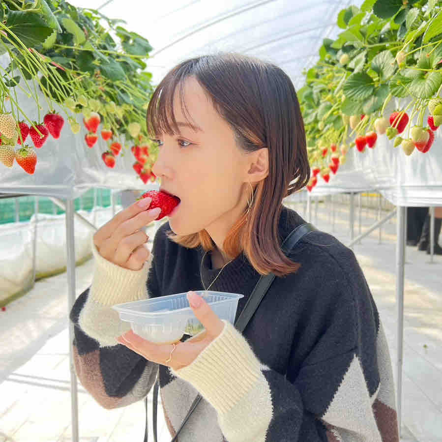 ゆぴ🧸ིྀLIPSパートナー🤎ྀི