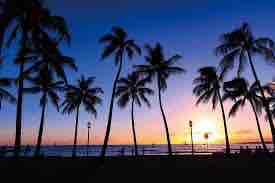 ピンクのマラサダ