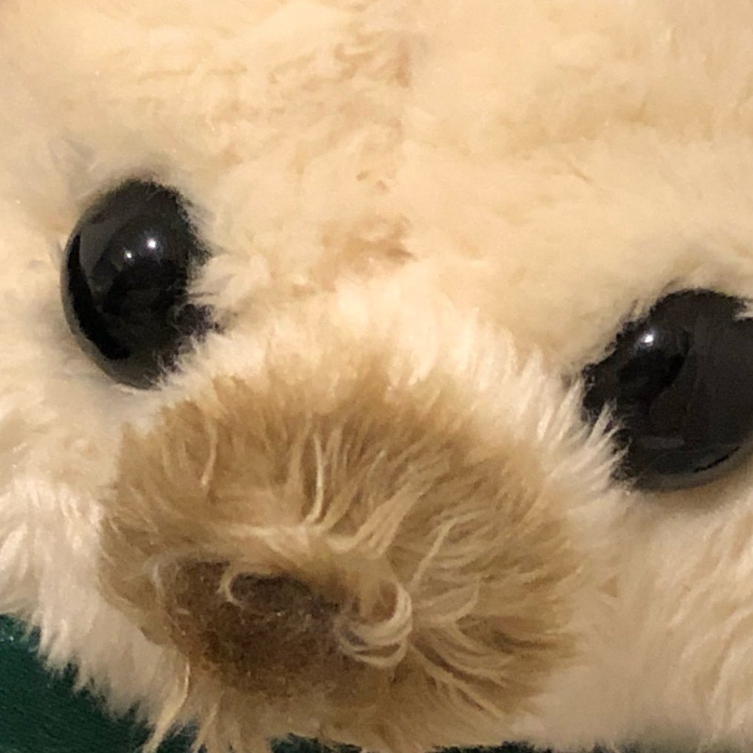 ちゃこのせかいかん