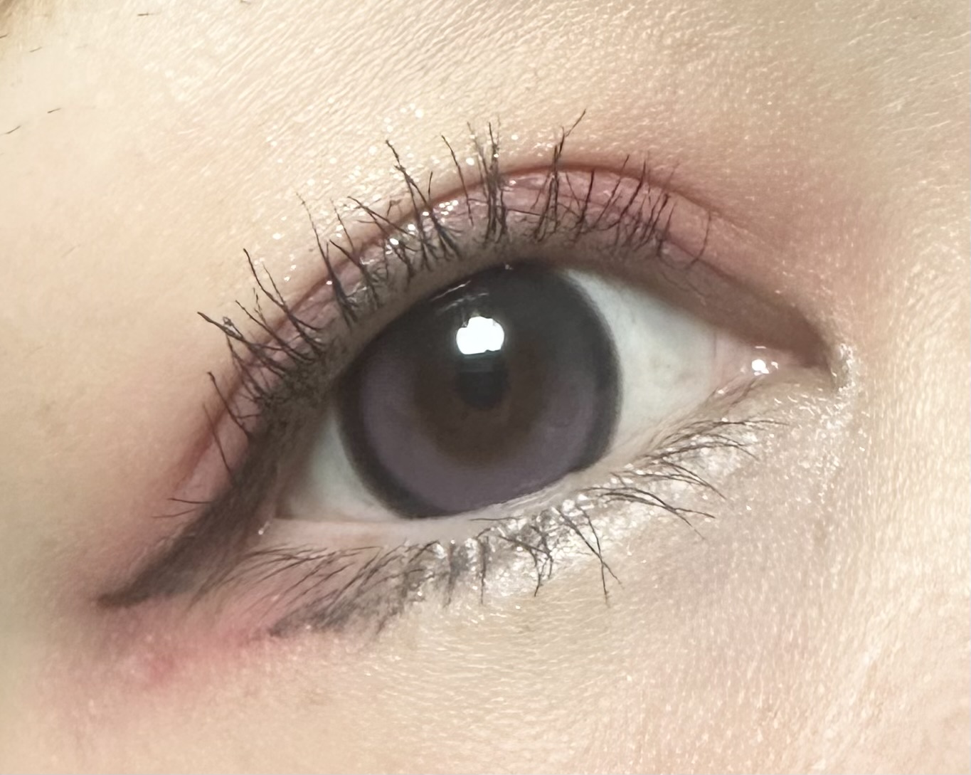 はる　フォロバ100