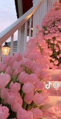 kokone